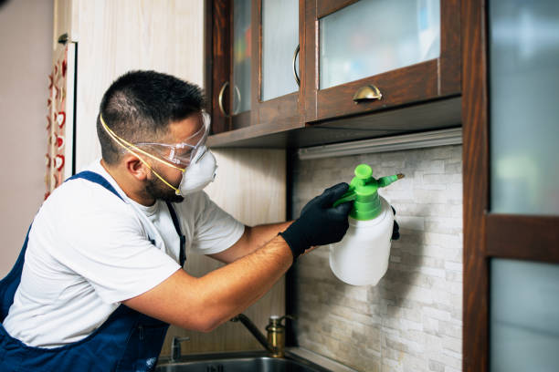 Best Wasp Removal Services  in North Beach Haven, NJ
