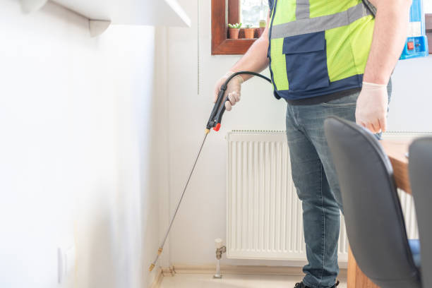 Best Affordable Pest Control Services  in North Beach Haven, NJ