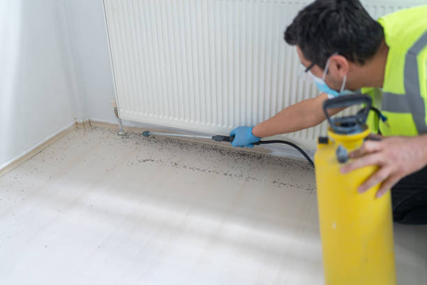Best Pest Removal Services  in North Beach Haven, NJ