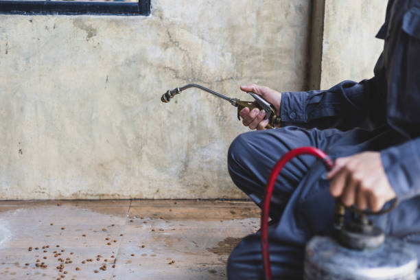 Best Pest Prevention Services  in North Beach Haven, NJ